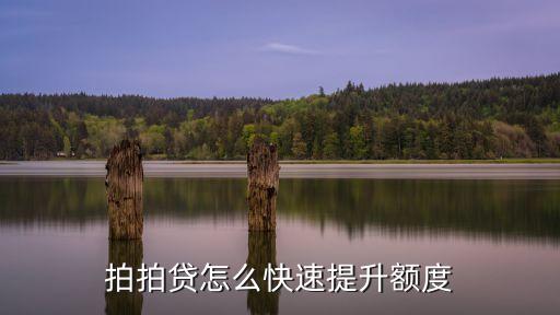 拍拍貸怎么快速提升額度