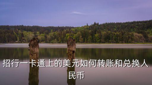 招行一卡通上的美元如何轉(zhuǎn)賬和兌換人民幣