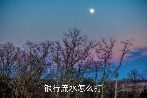 流水帳怎么打，銀行流水怎么打
