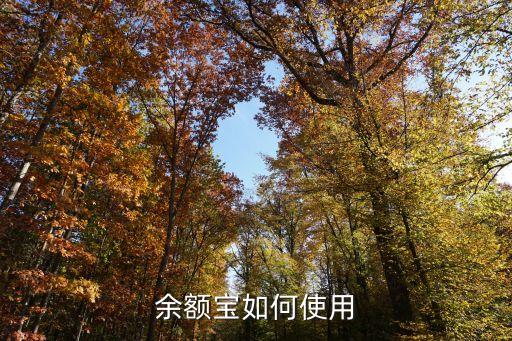余額寶如何使用