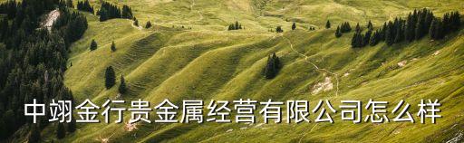 中翊金行貴金屬經(jīng)營有限公司怎么樣