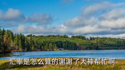 匯率是怎么算的謝謝了大神幫忙啊