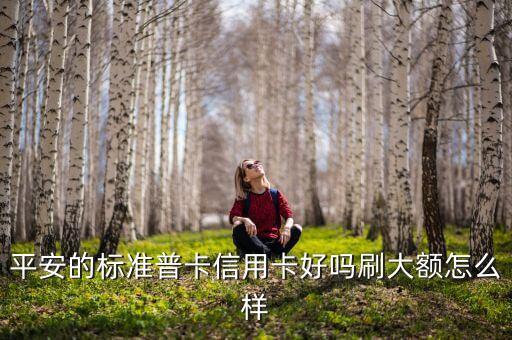平安的標(biāo)準(zhǔn)普卡信用卡好嗎刷大額怎么樣