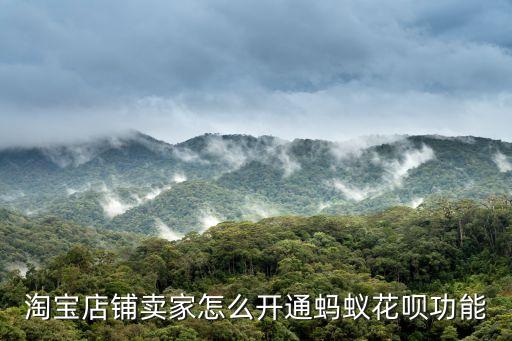 淘寶商家怎么設(shè)置花唄支付，淘寶賣家怎么開通支持花唄付款
