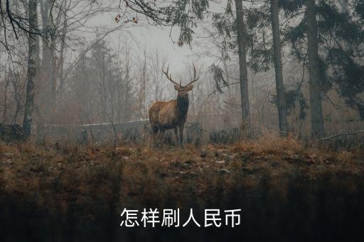 全幣種卡怎么刷，怎樣刷人民幣