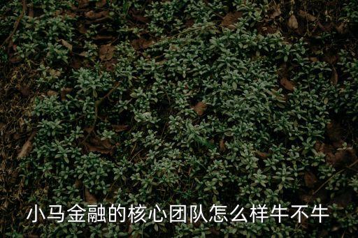 小馬金融的核心團(tuán)隊怎么樣牛不牛