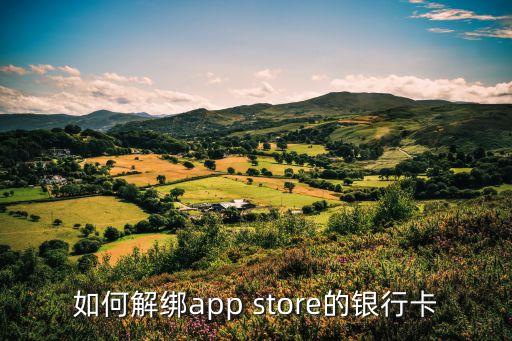 app的銀行卡怎么解除綁定，App Store怎么解綁銀行卡
