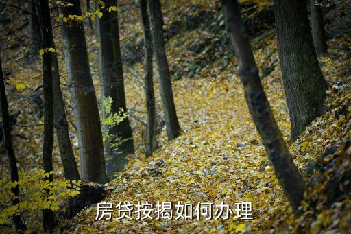 按揭貸款怎么，如何辦理按揭貸款
