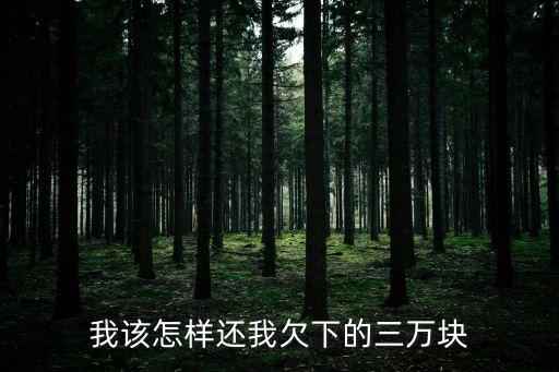 欠款3萬怎么還，負(fù)債三萬做什么能快速把錢還上