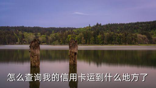 怎么查詢信用卡地址，信用卡歸屬地怎么查詢