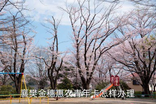 金穗惠農(nóng)卡怎么申請(qǐng)，農(nóng)行金麥穗卡怎么辦理