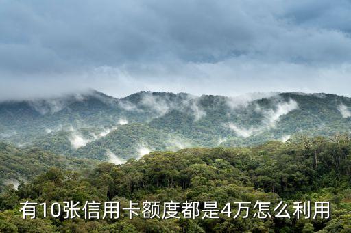我有10張信用卡怎么辦，手上有十幾張信用卡但是全部還完房貸審批不下來咋辦