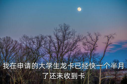 我在申請(qǐng)的大學(xué)生龍卡已經(jīng)快一個(gè)半月了還未收到卡
