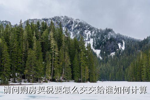 買新房按揭契稅怎么交，請問購房契稅要怎么交交給誰如何計算