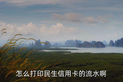 怎么打印民生信用卡的流水啊