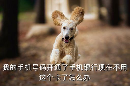 手機(jī)卡不用了銀行卡怎么辦理，我現(xiàn)在的手機(jī)號停機(jī)了還可以去銀行辦理銀行卡嗎