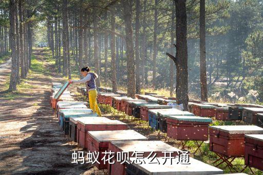 螞蟻花唄2017怎么開通，螞蟻花唄怎么開通