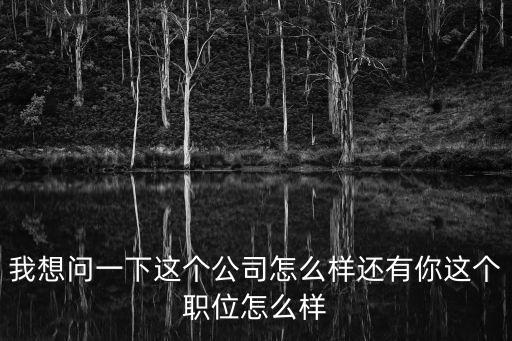 理想寶公司怎么樣，上海勝瑞電子科技有限公司怎樣