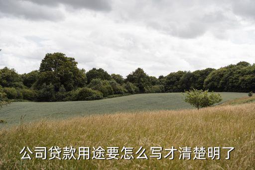 公司貸款用途要怎么寫才清楚明了
