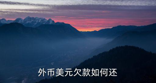 外幣欠款怎么還款，外幣美元欠款如何還