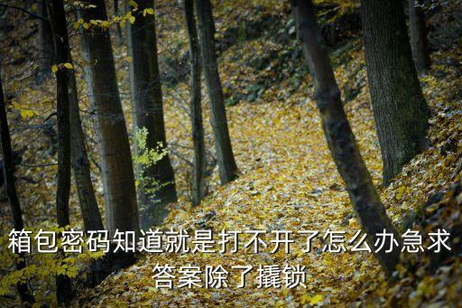 箱包密碼知道就是打不開了怎么辦急求答案除了撬鎖