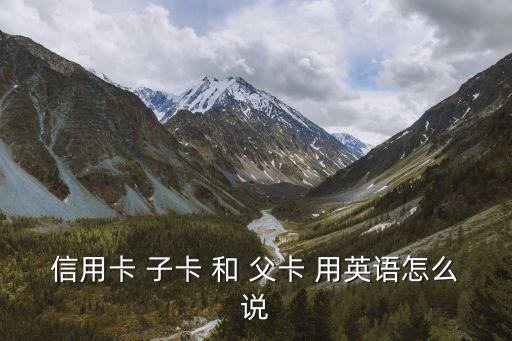 信用卡 子卡 和 父卡 用英語怎么說