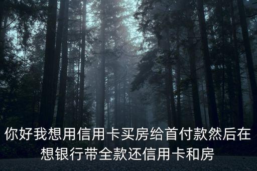 買房怎么使用信用卡嗎，你好我想用信用卡買房給首付款然后在想銀行帶全款還信用卡和房