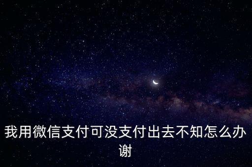 我用微信支付可沒支付出去不知怎么辦謝