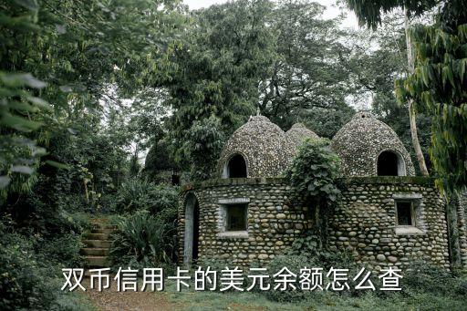怎么看雙幣信用卡額度多少，工行多幣種信用卡開通以后才能知道額度嗎