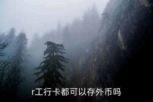 怎么往信用卡里存美金，自己的借記卡上可以存外幣嗎