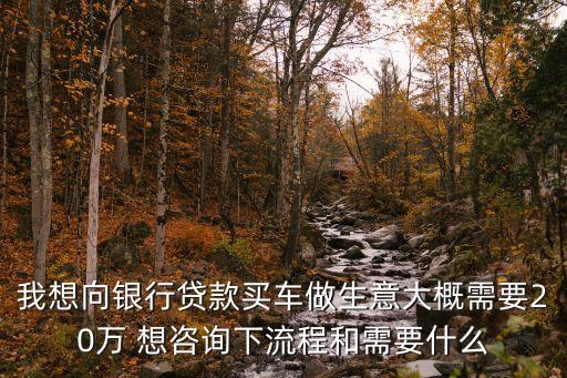 20多萬車貸款怎么貸，我想向銀行貸款買車做生意大概需要20萬 想咨詢下流程和需要什么