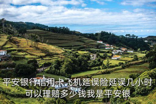 平安銀行信用卡飛機(jī)延誤險(xiǎn)延誤幾小時(shí)可以理賠多少錢我是平安銀