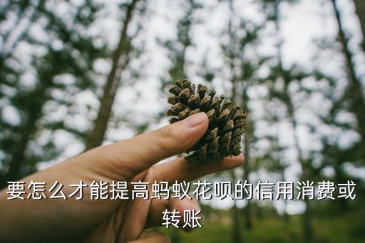 要怎么才能提高螞蟻花唄的信用消費或轉(zhuǎn)賬