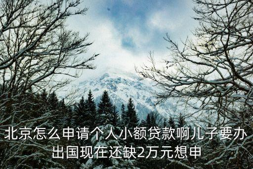 北京怎么申請個人小額貸款啊兒子要辦出國現(xiàn)在還缺2萬元想申