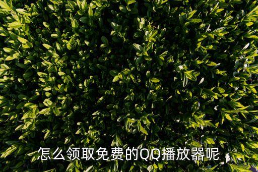 浦發(fā)qq音樂(lè)怎么兌換，積分換Q音種子