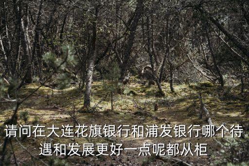 請問在大連花旗銀行和浦發(fā)銀行哪個待遇和發(fā)展更好一點呢都從柜