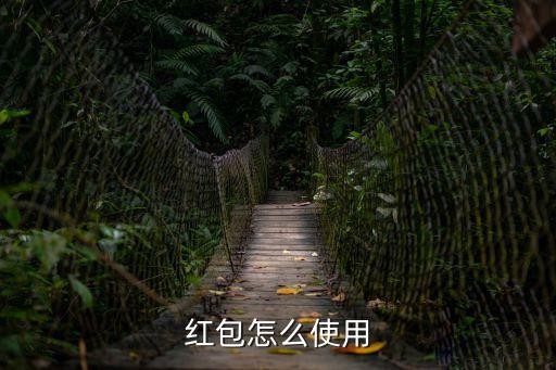 和信貸紅包怎么用，紅包怎么使用