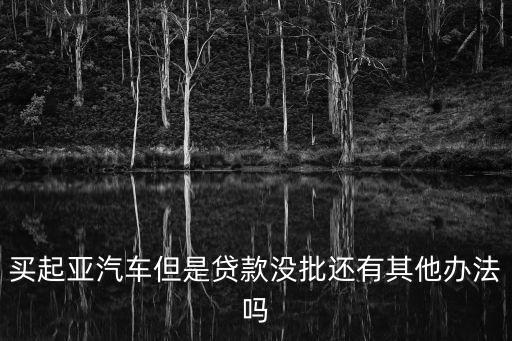 買起亞汽車但是貸款沒批還有其他辦法嗎