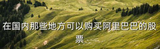 在國內(nèi)那些地方可以購買阿里巴巴的股票