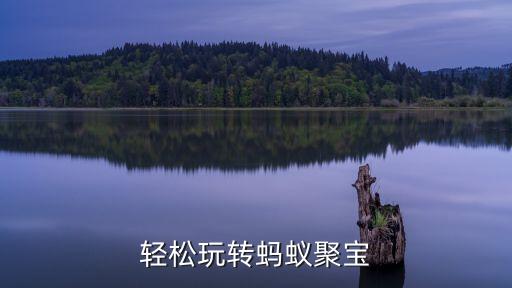 輕松玩轉(zhuǎn)螞蟻聚寶