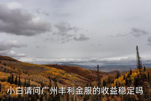 小白請問廣州豐利金服的收益穩(wěn)定嗎
