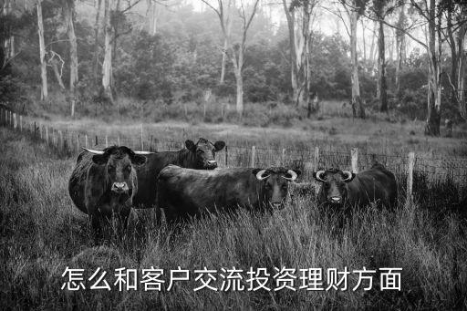 怎么和客戶交流投資理財(cái)方面