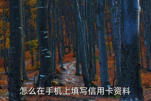 馬上貸怎么填寫信用卡，怎么在手機上填寫信用卡資料
