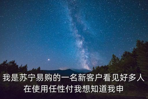 任性付怎么審核，蘇寧的任性付怎么開通
