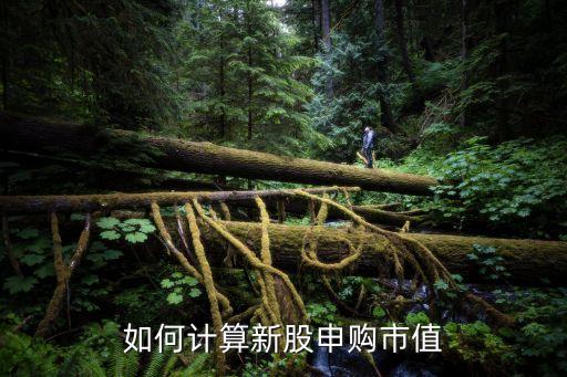 新股申購平均市值怎么算，新股申購市值計(jì)算到底是怎么計(jì)算的啊