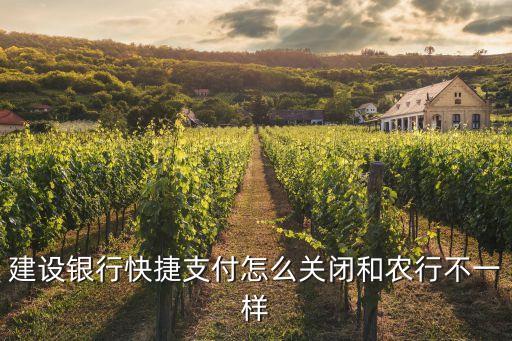 建設(shè)銀行快捷支付怎么關(guān)閉和農(nóng)行不一樣