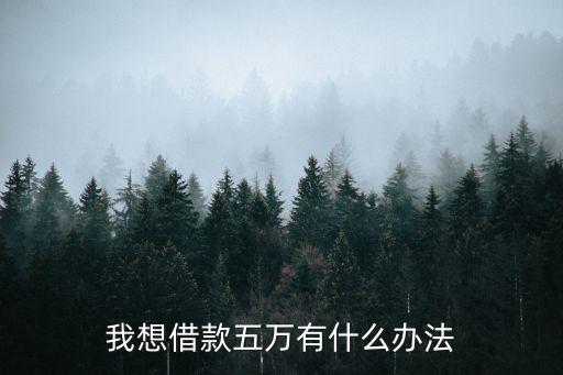怎么借5萬元，怎樣可以借到五萬塊錢啊