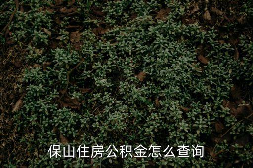 怎么查深圳公積金明細(xì)查詢，昆明住房公積金怎么查詢