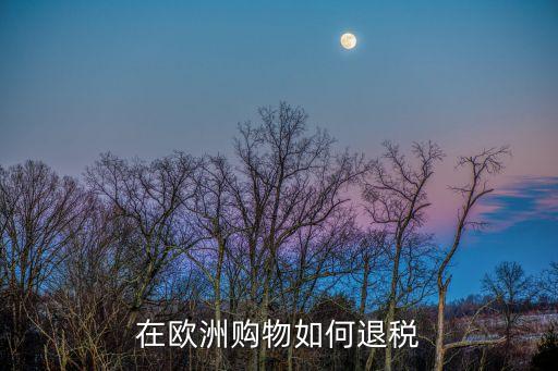 在歐洲購物如何退稅