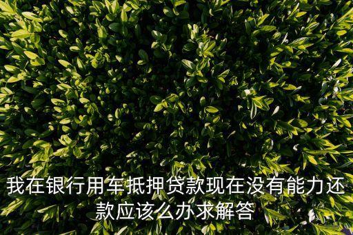 我在銀行用車抵押貸款現(xiàn)在沒有能力還款應(yīng)該么辦求解答